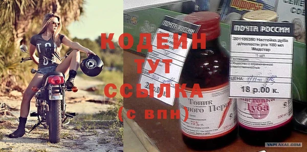 apvp Бородино