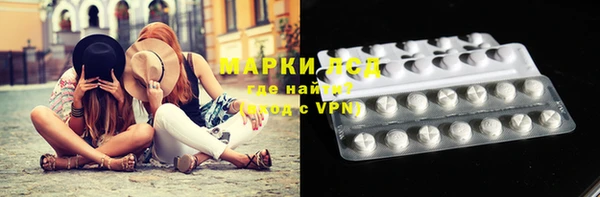 apvp Бородино