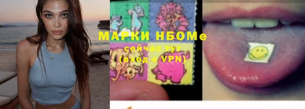 apvp Бородино