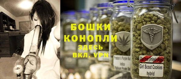 apvp Бородино