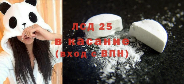 apvp Бородино