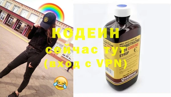 apvp Бородино