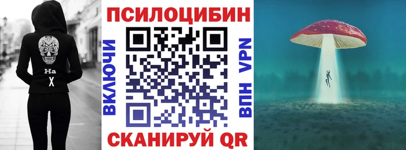 Галлюциногенные грибы MAGIC MUSHROOMS  Тамбов 